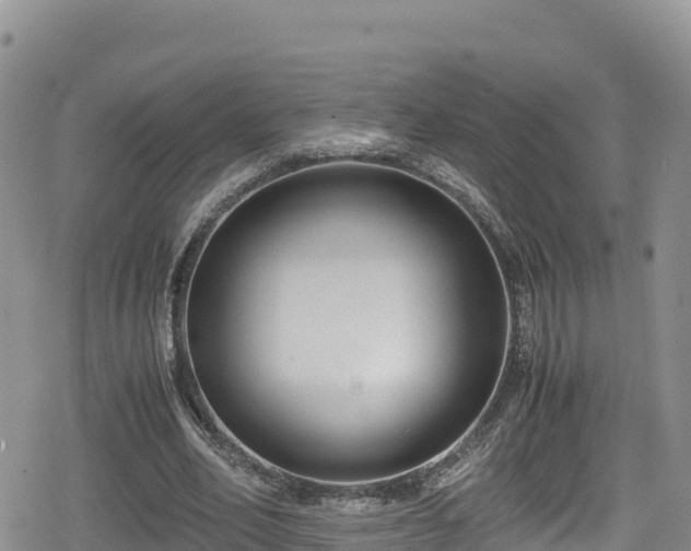 X0000080710582200612221145