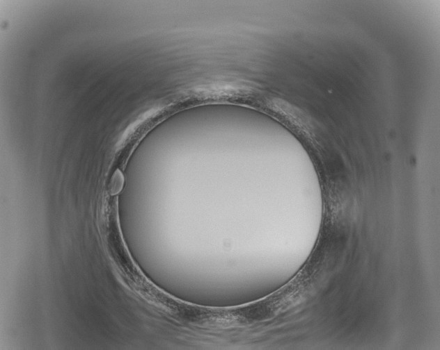 X0000080710583200612221145