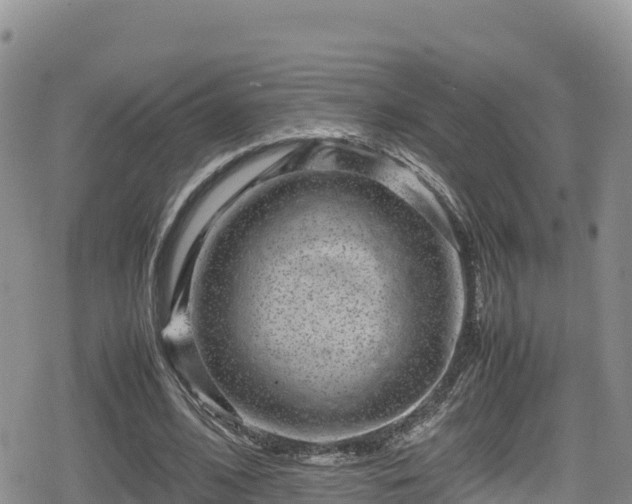 X0000080710584200612221145