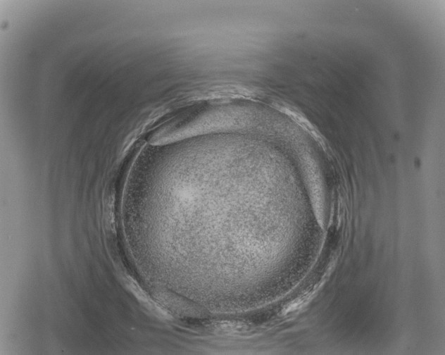 X0000080710585200612221145