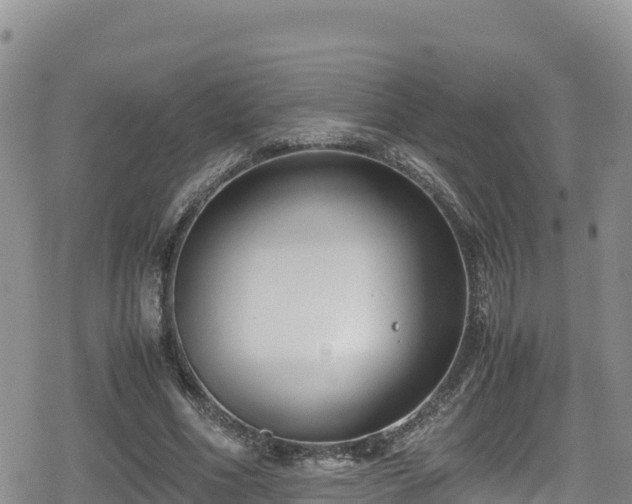 X0000080710586200612221145