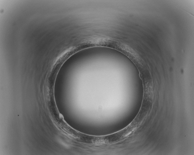 X0000080710587200612221145