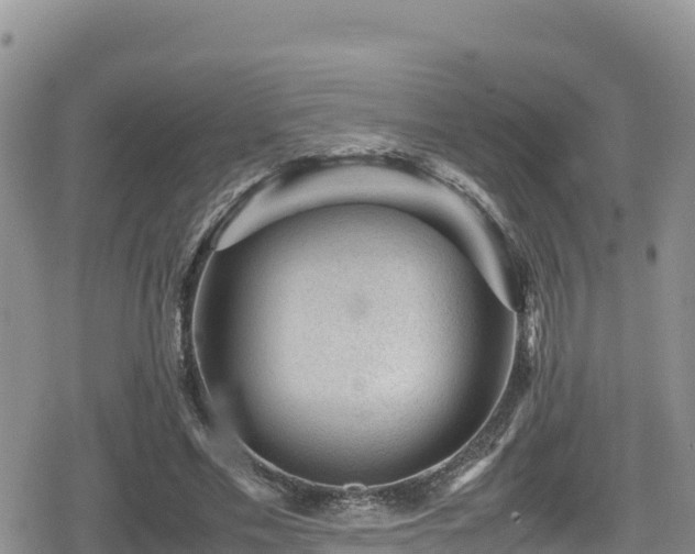 X0000080710589200612221145