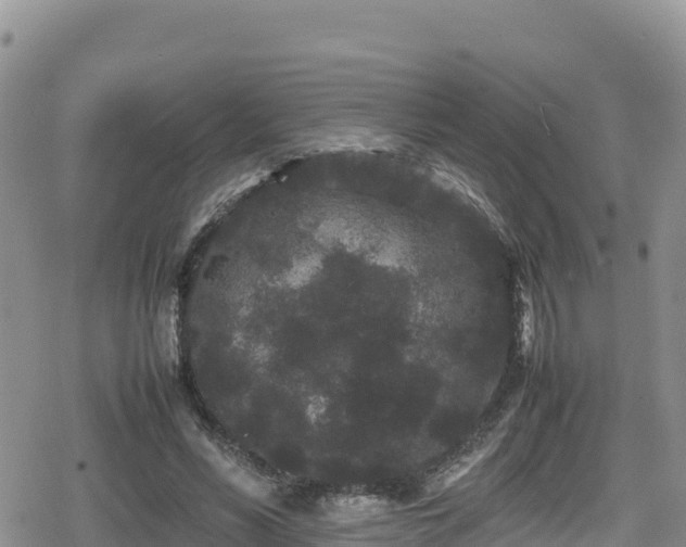 X0000080710590200612221145