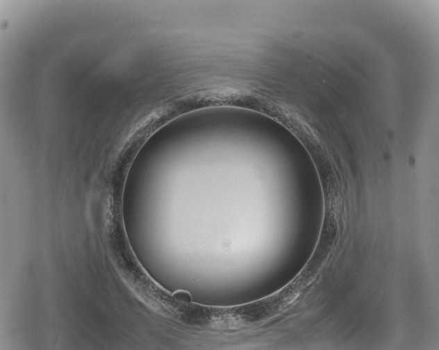 X0000080710591200612221145