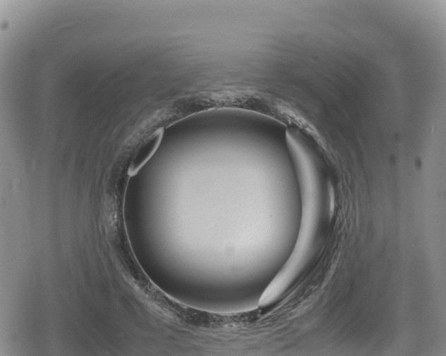 X0000080710593200612221145