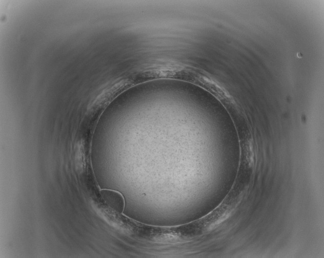 X0000080710594200612221145