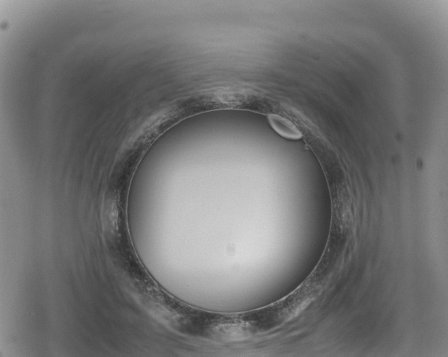 X0000080710595200612221145