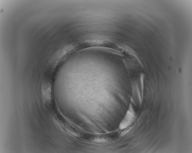 X0000080710596200612221145