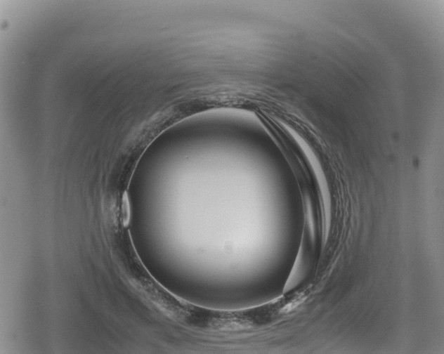 X0000080710597200612221145