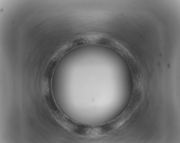 X0000080710599200612221145