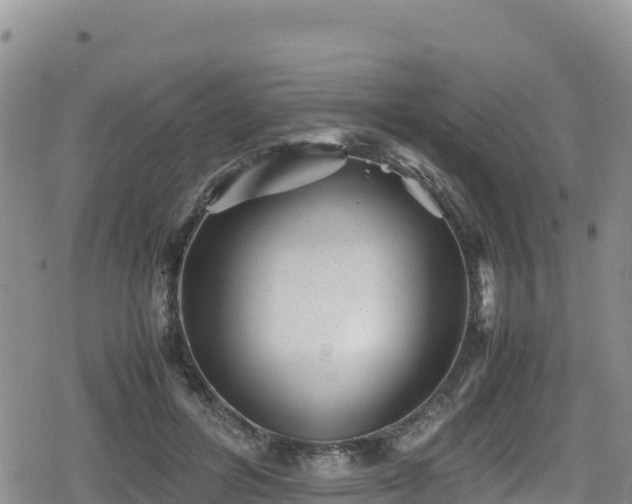 X0000080710600200612221145