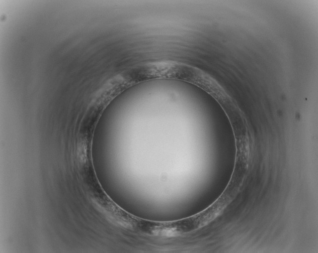 X0000080710602200612221144