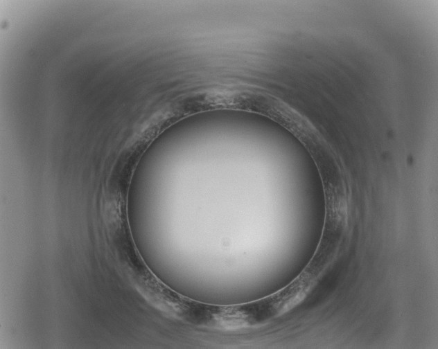 X0000080710603200612221144