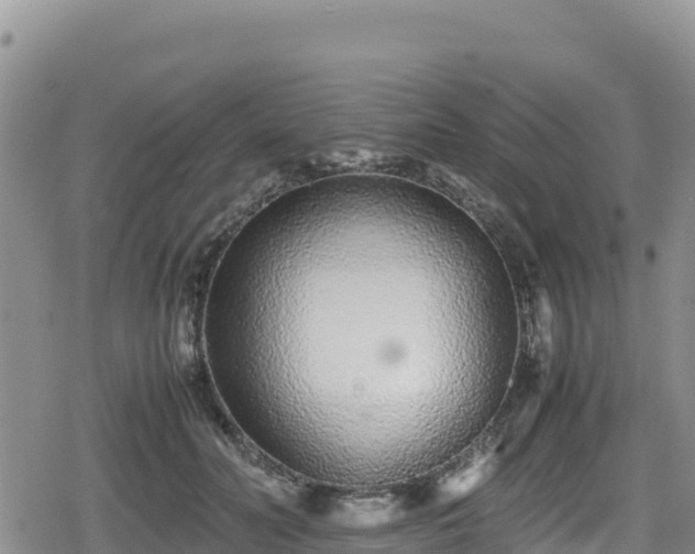 X0000080710606200612221144