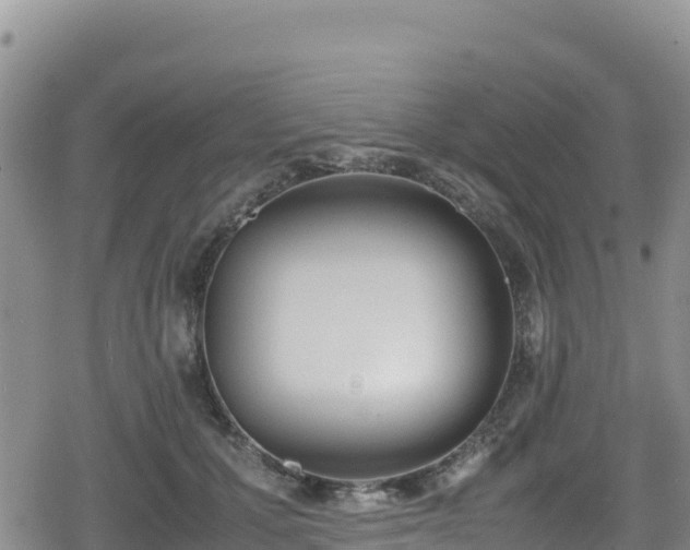 X0000080710607200612221144