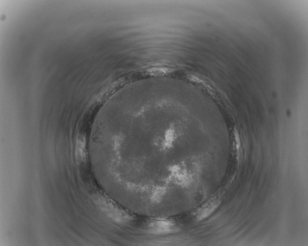 X0000080710610200612221144