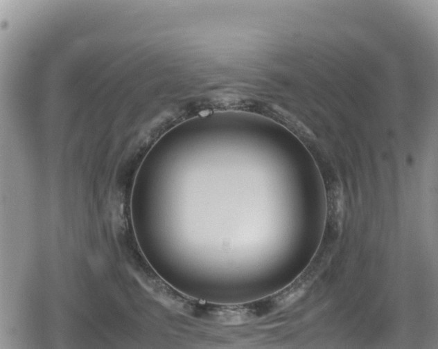 X0000080710615200612221144