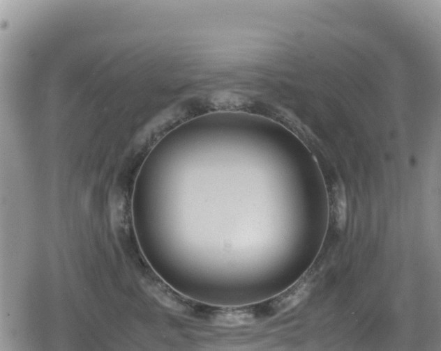 X0000080710619200612221144