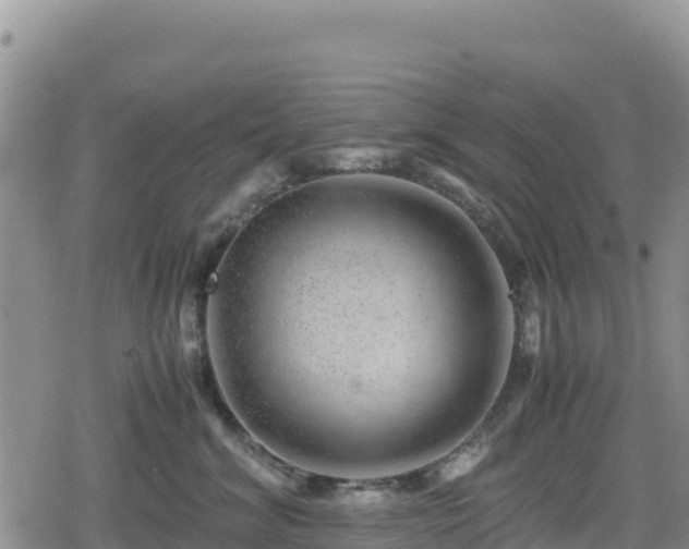 X0000080710620200612221144