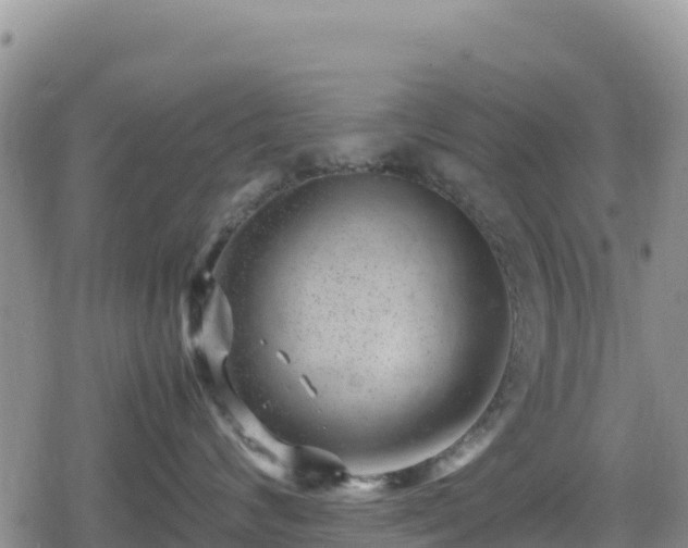 X0000080710624200612221144