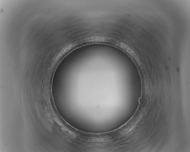 X0000080710625200612221143