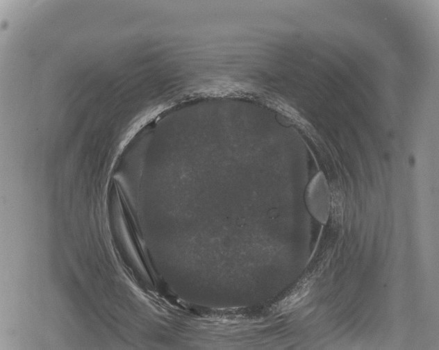 X0000080710626200612221143