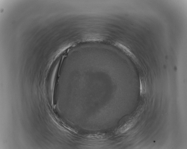 X0000080710627200612221143