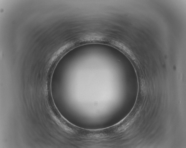 X0000080710629200612221143