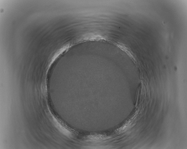 X0000080710630200612221143