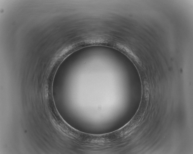 X0000080710631200612221143