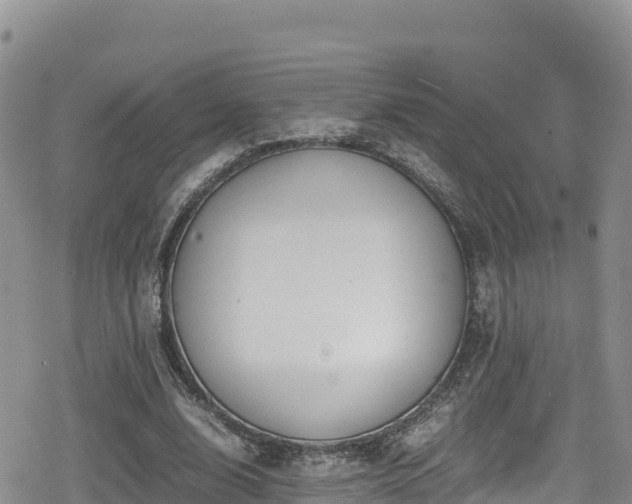 X0000080710632200612221143