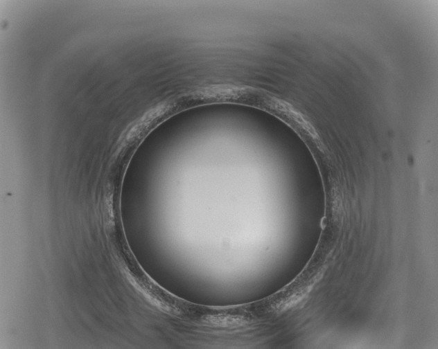 X0000080710633200612221143