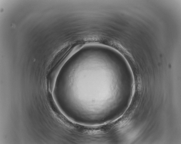 X0000080710637200612221144