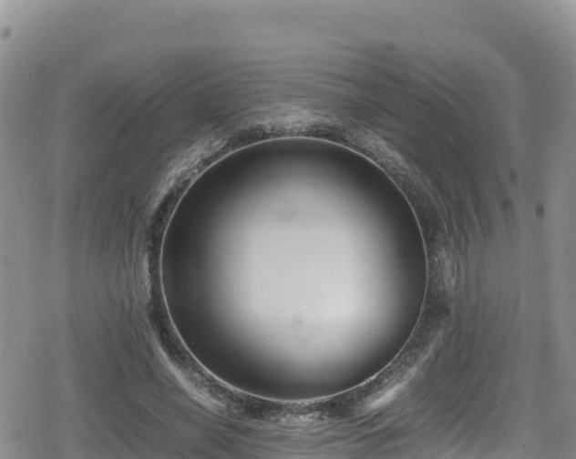 X0000080710638200612221144