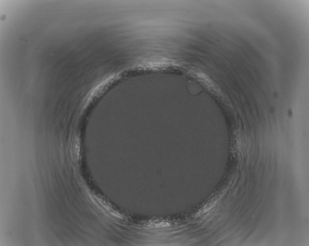 X0000080710640200612221144