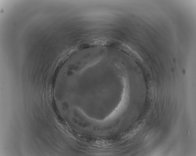 X0000080710641200612221144