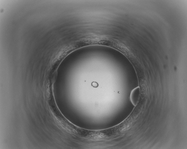 X0000080710642200612221144