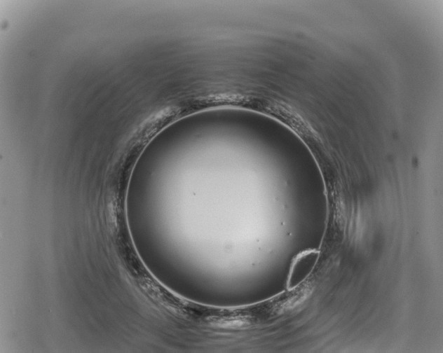 X0000080710643200612221144