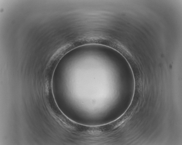 X0000080710644200612221144