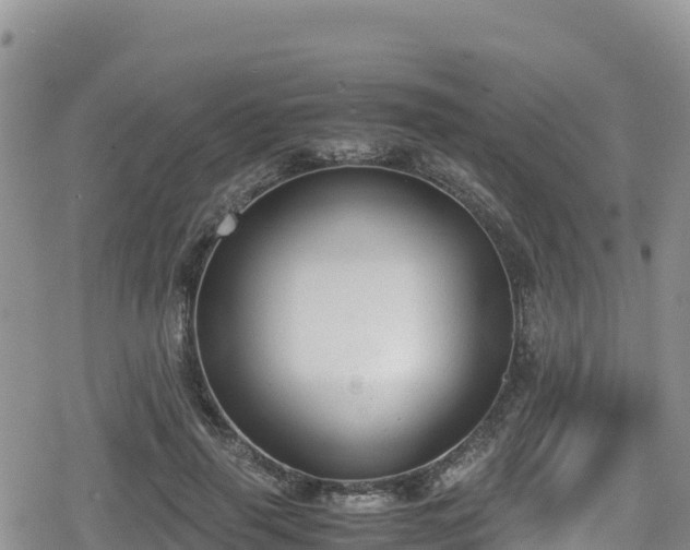 X0000080710645200612221144