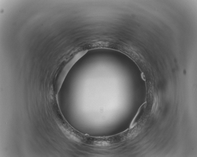 X0000080710649200612221144