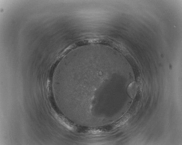 X0000080710650200612221144