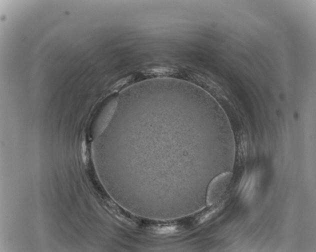 X0000080710651200612221144