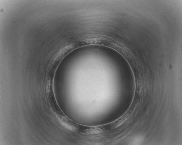 X0000080710652200612221144