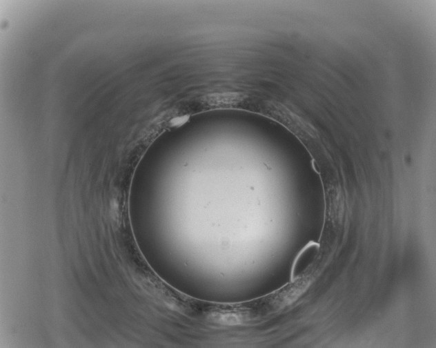 X0000080710655200612221144