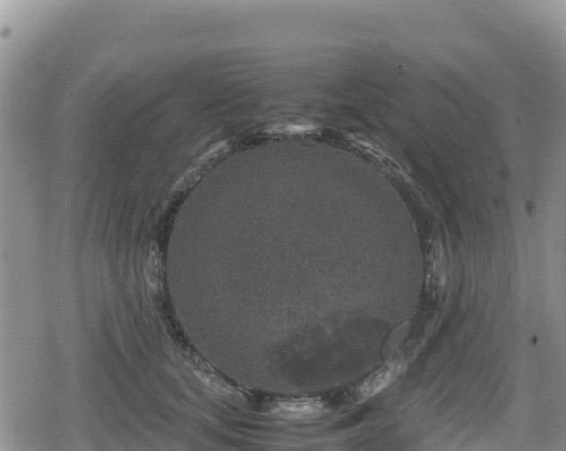 X0000080710659200612221144