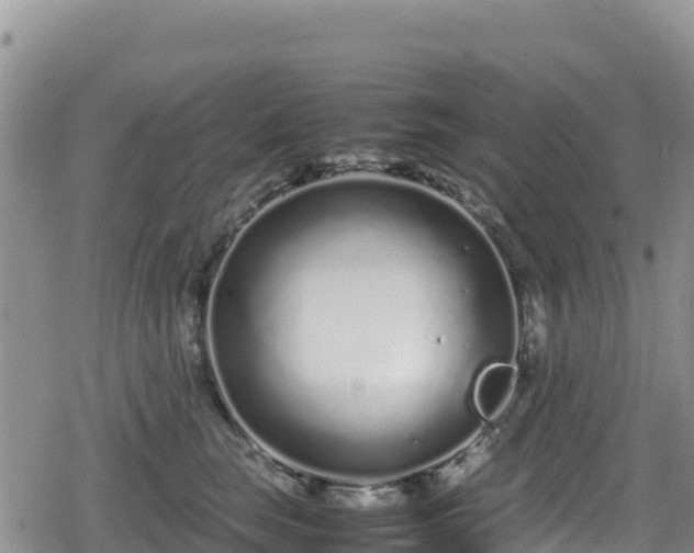 X0000080710663200612221144