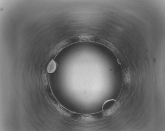 X0000080710666200612221144