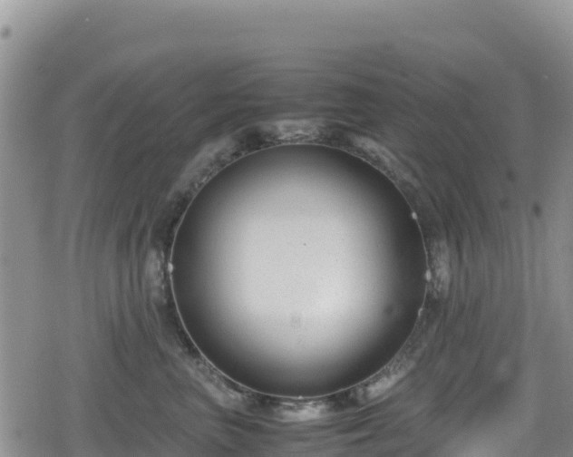 X0000080710667200612221144